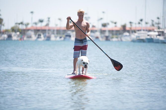 1.5 Hour Paddle Board Rental with Instruction - Quick highlights to know before you go