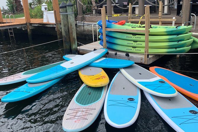 1.5 Hour Paddle Board Rental with Instruction - Why this Fort Lauderdale paddle board rental is such good value