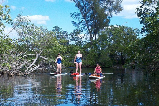 1 Hour Stand Up Paddle Board Lesson for Beginners with 1 on 1 Instructor Guide - Where You Meet and How to Plan Your Arrival