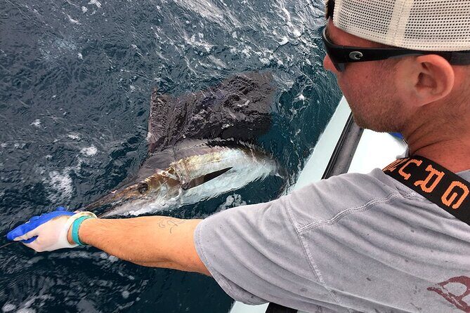 4 Hour Charter - Your catch, handled: cleaning, taking it home, and keeping it fresh