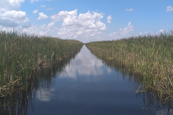 Air Boat Tour of Palm Beach in The Swamp Monster - Private Tour Value: Why “Only Your Group” Changes the Experience