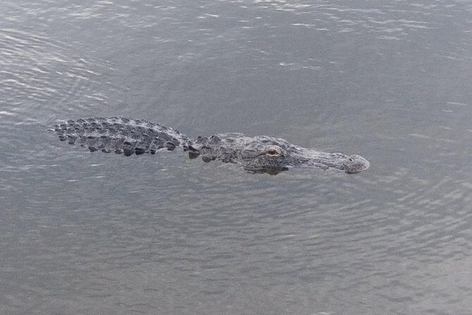 Air Boat Tour of Palm Beach in The Swamp Monster - How the 90 Minutes Work on the Water