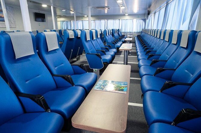 Bimini Day Cruise from Fort Lauderdale with Round-Trip Miami Transfer - Bimini for 6 hours: what you can actually do with your time