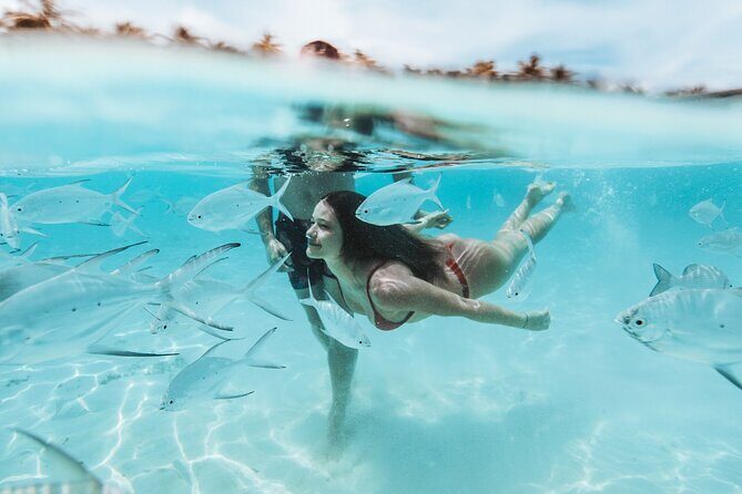 Bimini or Grand Bahama Island by Ferry - Bahamas for one day: what this trip feels like