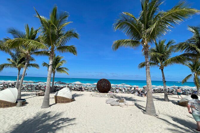 Bimini or Grand Bahama Island by Ferry - Bimini vs. Grand Bahama: which one fits your day