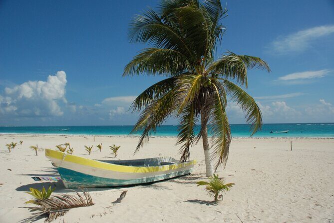 Bimini or Grand Bahama Island by Ferry - Optional activities: where the extra costs show up