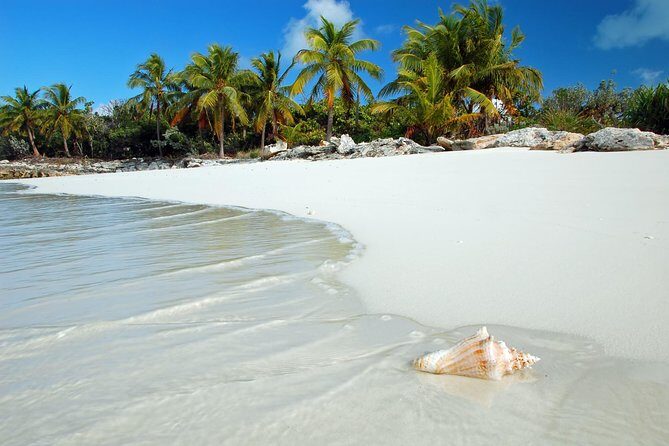 Day Trip to Bimini, Bahamas - Ferry Tickets - The free-time window: how long is enough for Bimini beaches