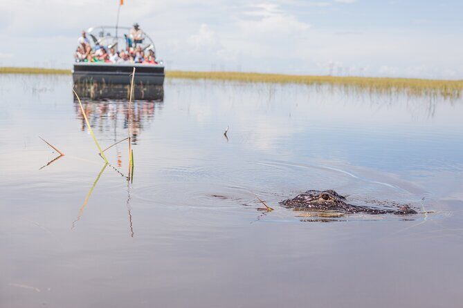 Everglades Admission Ticket with Airboat Ride and Wildlife Show - Admission plus a live Wild Animal Show: why the park part is more than filler