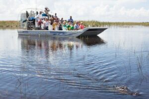 Everglades Admission Ticket with Airboat Ride and Wildlife Show - The 30-minute Everglades airboat ride on the Sawgrass Glassy River