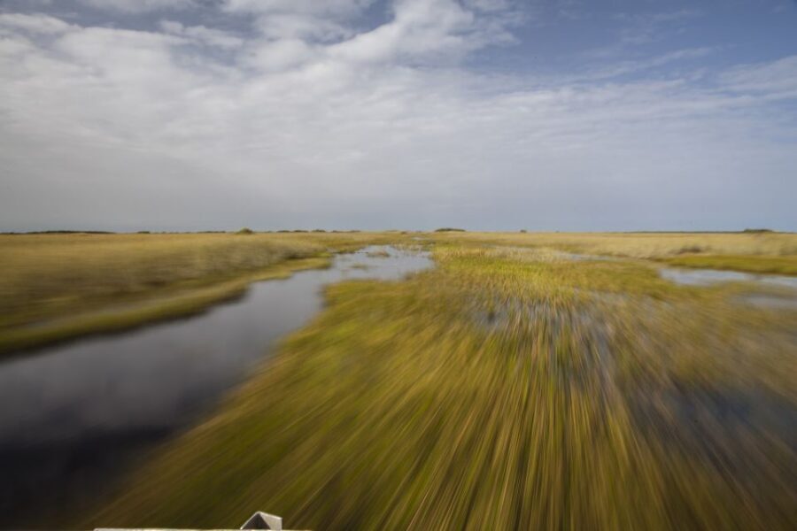 Everglades Day Safari from Fort Lauderdale - What to pack and how to watch wildlife effectively