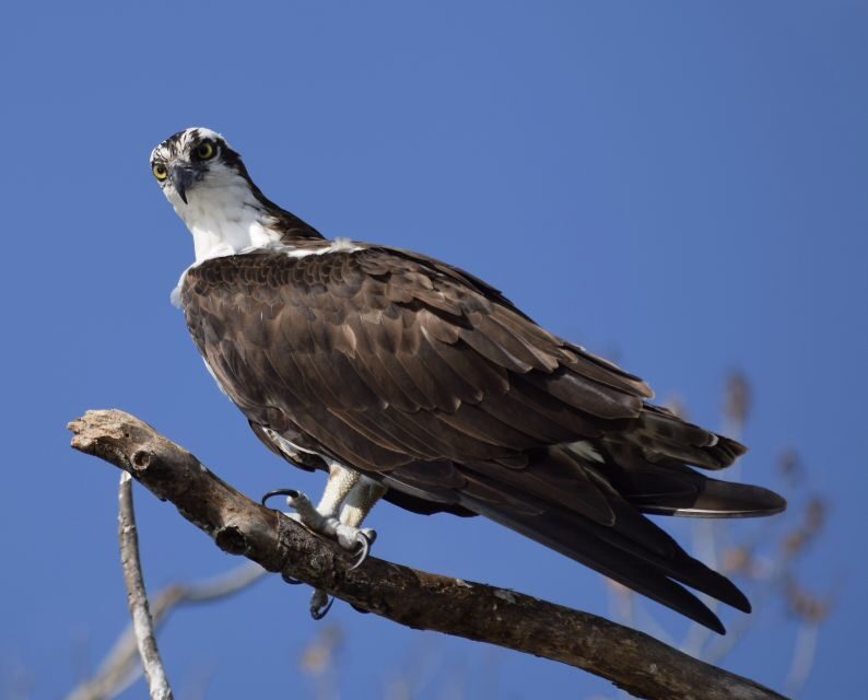 Everglades Day Safari from Fort Lauderdale - The Chokoloskee stop: a short self-guided breather