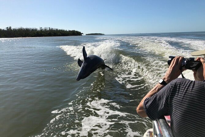 Everglades Day Safari from Ft Lauderdale - Entering the Everglades: how this day keeps you moving
