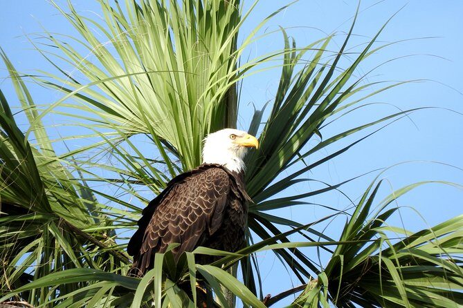 Everglades Day Safari from Ft Lauderdale - Big Cypress National Preserve: wildlife drive plus Oasis Visitor Center