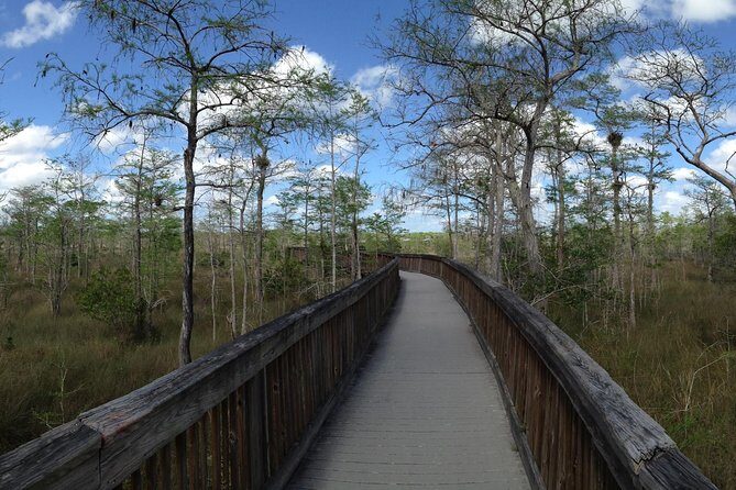 Everglades Day Safari from Ft Lauderdale - Ten Thousand Islands mangrove cruise: dolphins and manatees in the backwaters