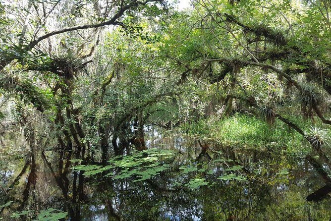 Everglades National Park Biologist Led Adventure: Cruise, Hike + Airboat - Rolling Out Early: Pickup, Van Time, and a Comfort-First Start