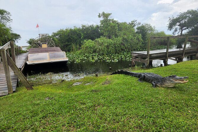 Everglades National Park Biologist Led Adventure: Cruise, Hike + Airboat - Big Cypress Walks: Easy Steps, Serious Ecosystem Variety