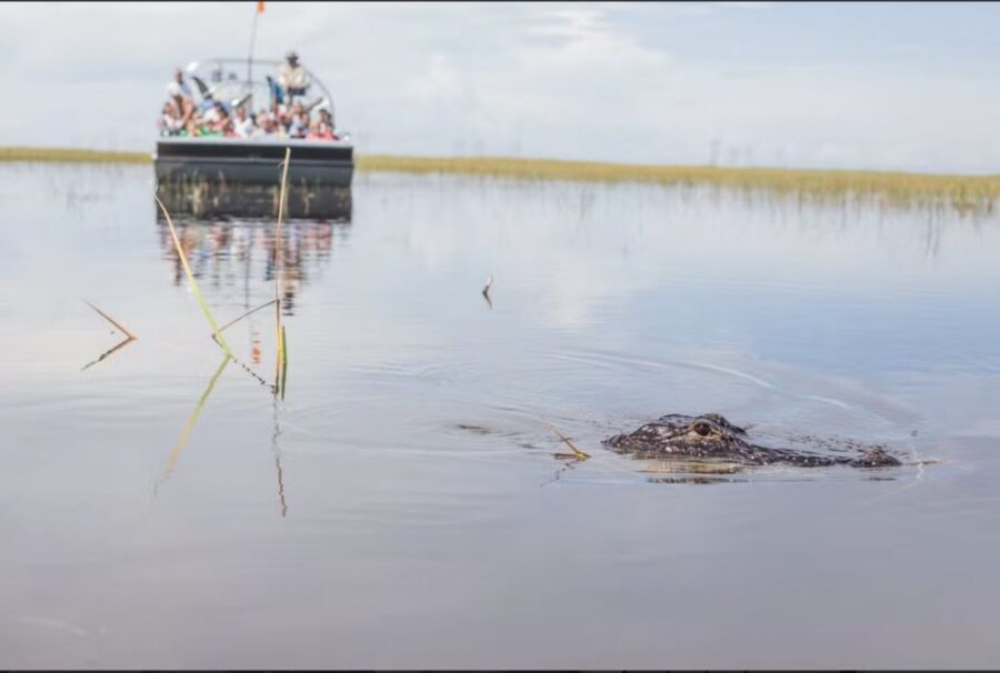 Everglades: Sawgrass Park Airboat Adventure Package - Who this package fits best (and who should consider another option)