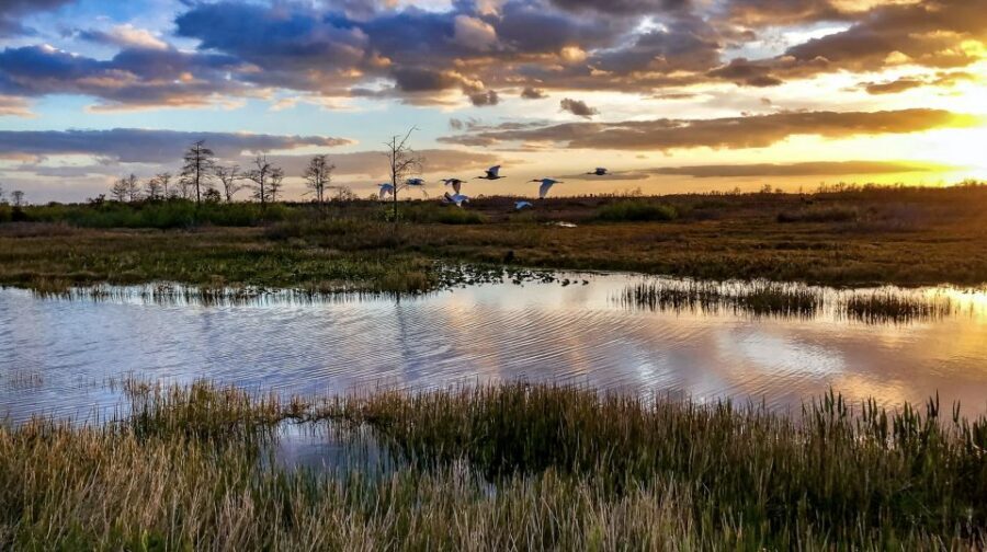 Everglades: Sawgrass Park Airboat Adventure Package - Souvenirs and the little extras that add real value