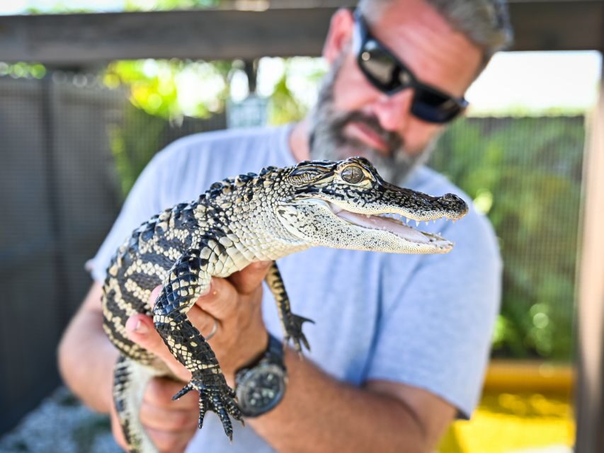 Everglades: Sawgrass Park Day Time Airboat Tour & Exhibits - Your 40-minute airboat loop through Sawgrass Recreation Park