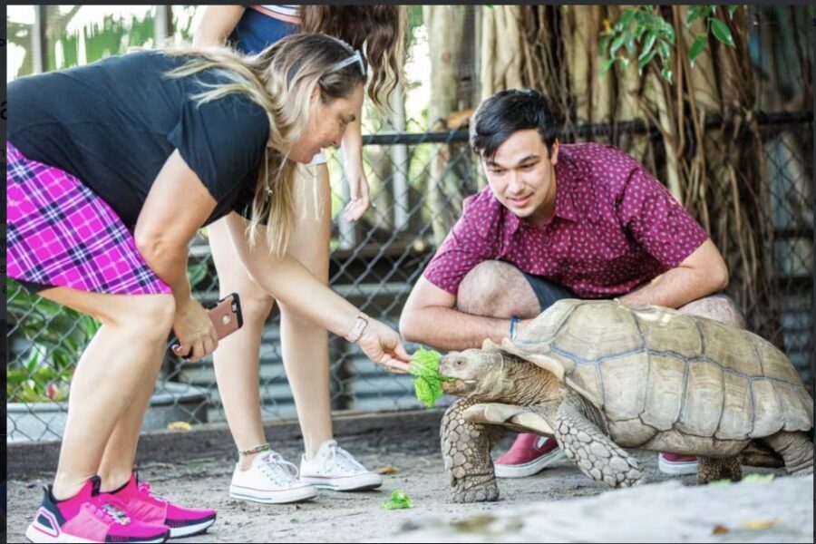 Everglades: Sawgrass Park Reptile Exhibit Private Tour - Logistics that actually matter: where to go and what to bring