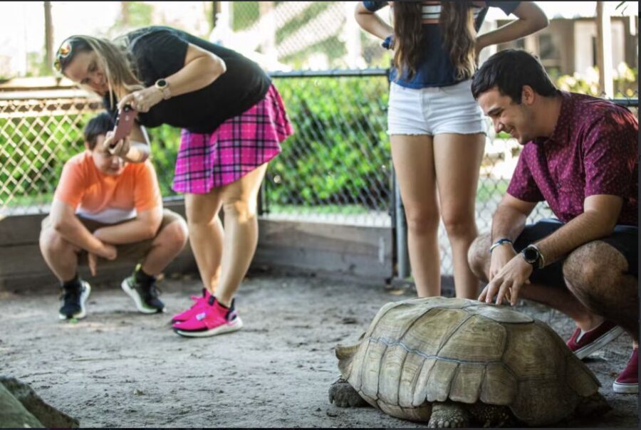Everglades: Sawgrass Park Reptile Exhibit Private Tour - Conservation talk you can actually use on your trip