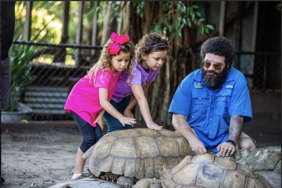 Everglades: Sawgrass Park Reptile Exhibit Private Tour - Should you book the Everglades: Sawgrass Park Reptile Exhibit Private Tour?