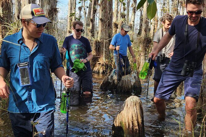 Everglades Tour w/ Biologist Led WET walk + 2 Boat Trips + Lunch! - Key things I’d circle before you book