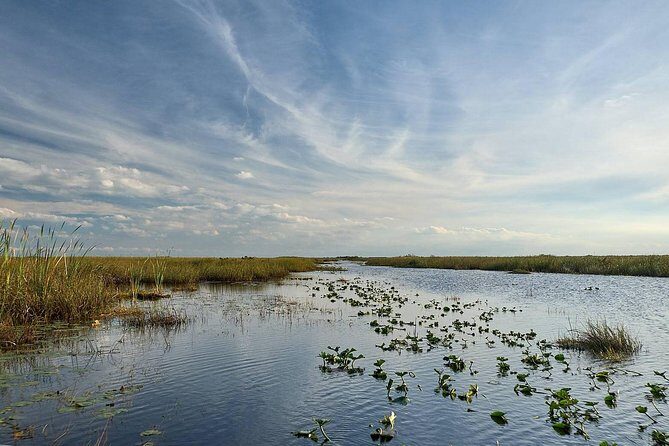 Everglades Tour w/ Biologist Led WET walk + 2 Boat Trips + Lunch! - Loop Road and Oasis Visitor Center: the wildlife-hunting part of the route
