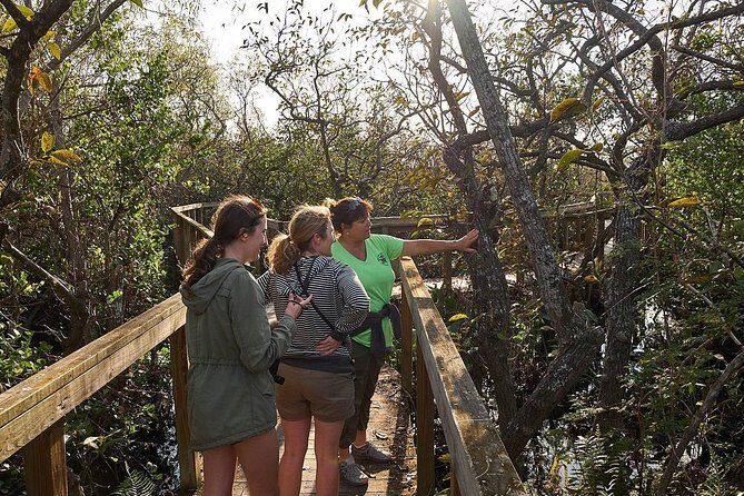 Everglades Tour w/ Biologist Led WET walk + 2 Boat Trips + Lunch! - Ten Thousand Islands boat trip: switching ecosystems without leaving the theme