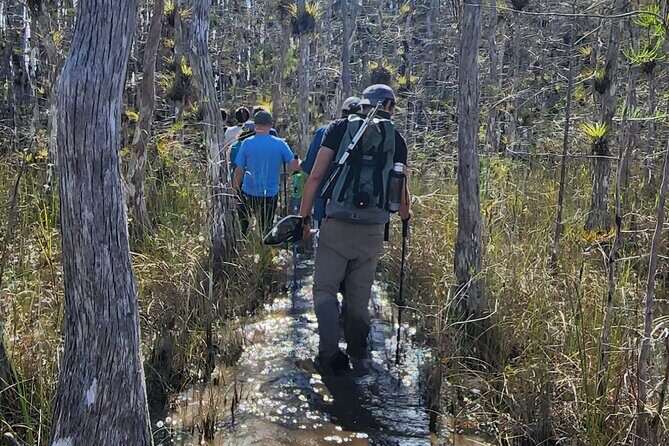 Everglades Tour w/ Biologist Led WET walk + 2 Boat Trips + Lunch! - Price and what $375 buys you (and what it doesn’t)