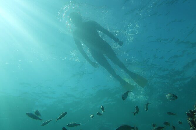 Exclusively Private Snorkel Adventures Training & Tours Ultimate - Gear Fit Matters: Shoe Sizes, Wetsuits, and Comfort First