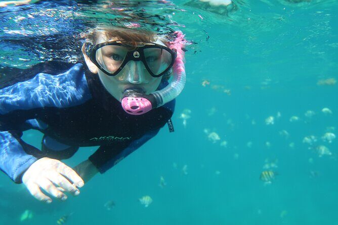 Exclusively Private Snorkel Adventures Training & Tours Ultimate - Who This Snorkel Session Fits Best (And Who Should Skip It)