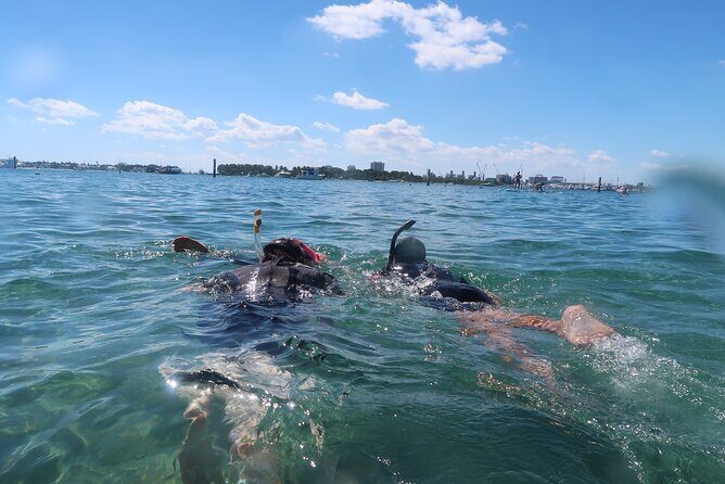 Exclusively Private Snorkel Adventures Training & Tours Ultimate - Meeting Point in Lauderdale-By-The-Sea and How the 2.5 Hours Flow