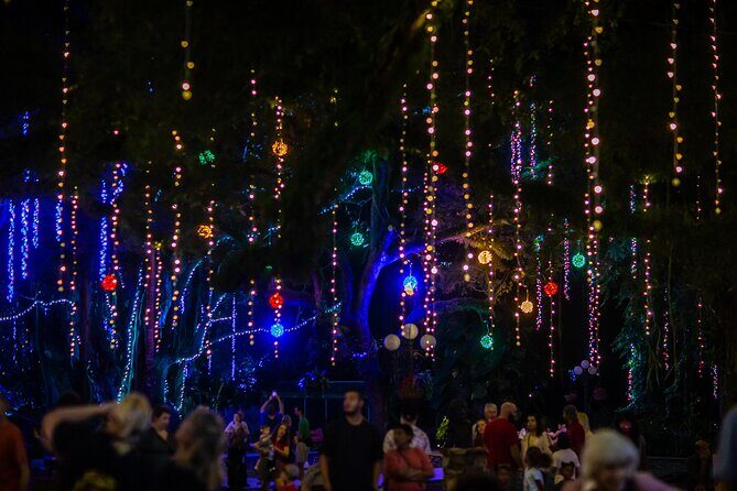 Flamingo Gardens' Garden of Lights - Key things to know before you go