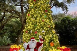 Flamingo Gardens' Garden of Lights - Price and timing: how to get value from a $24 ticket
