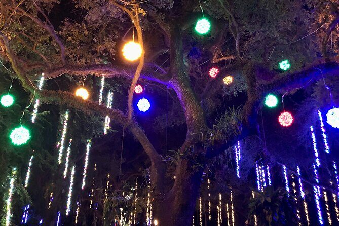 Flamingo Gardens' Garden of Lights - Logistics that can make or break the experience