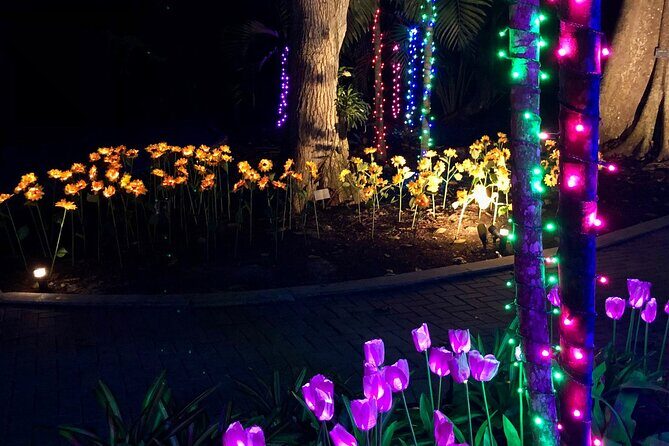 Flamingo Gardens' Garden of Lights - When to go: avoiding disappointment windows