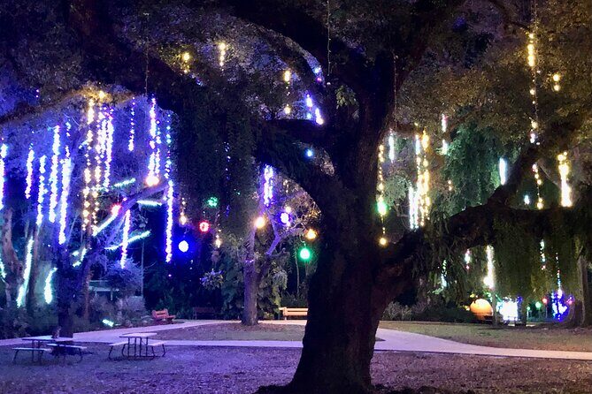 Flamingo Gardens' Garden of Lights - Who this is best for (and who might want a different holiday plan)