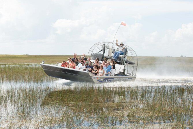 Florida Everglades Airboat Adventure and Wildlife Encounter - Why Sawgrass Recreation Park Fits a Fort Lauderdale Day