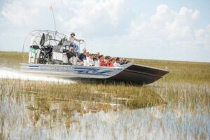 Florida Everglades Airboat Adventure and Wildlife Encounter - Price, Timing, and What You’re Actually Buying