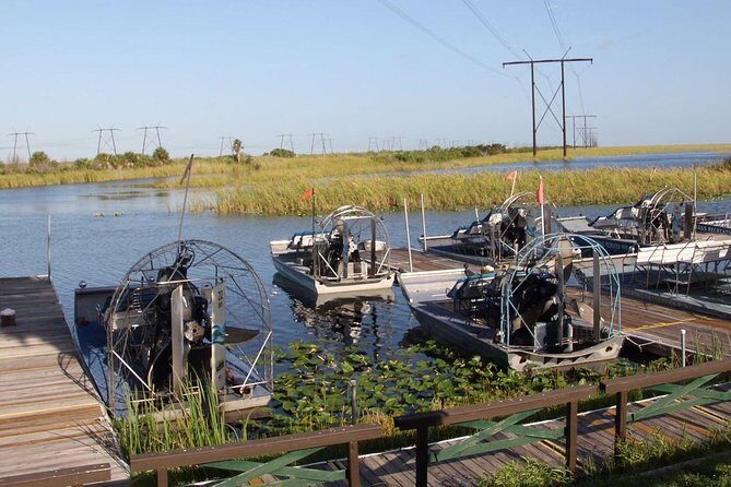 Florida Everglades Night Airboat Tour near Fort Lauderdale - Wildlife odds at night: what you’re likely to notice