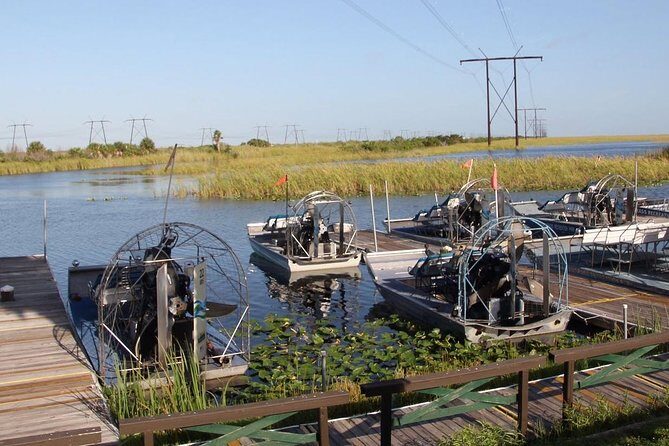 Florida Everglades Private Night Airboat Ride Tour - Key highlights worth planning around