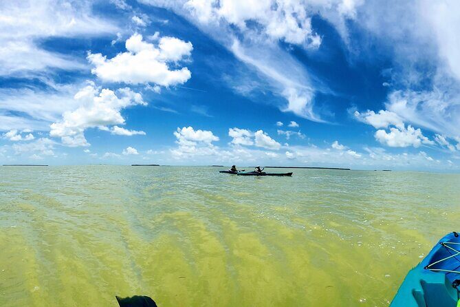 Florida Keys Eco Tour: Snorkel, Kayak, Lunch + Transportation! - Key highlights that matter (not just catchy bullet points)