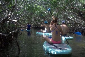 Florida Keys Eco Tour: Snorkel, Kayak, Lunch + Transportation! - Stop 1 and 2: the warm-up drive, plus a Wild Bird Sanctuary visit