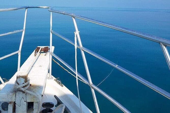 Florida Keys Eco Tour: Snorkel, Kayak, Lunch + Transportation! - How lunch fits (and why it helps you enjoy snorkeling)