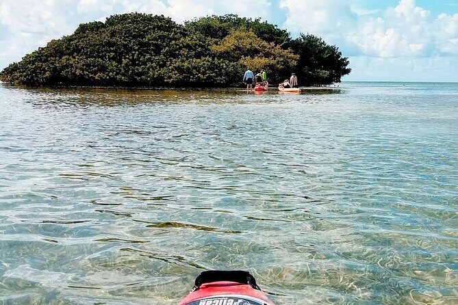 Florida Keys Eco Tour: Snorkel, Kayak, Lunch + Transportation! - Snorkeling in the Florida Keys National Marine Sanctuary (two chances to see a reef)