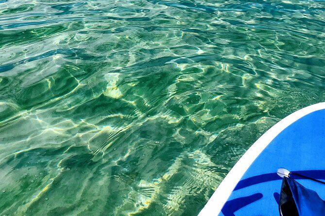 Florida Keys Eco Tour: Snorkel, Kayak, Lunch + Transportation! - The boat ride back: rum punch, snacks, and a cleaner ending