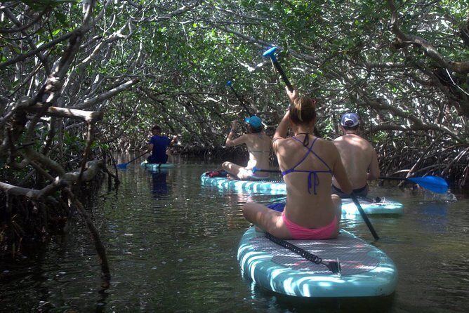 Florida Keys Eco Tour: Snorkel, Kayak, Lunch + Transportation! - Stop 1 and 2: the warm-up drive, plus a Wild Bird Sanctuary visit