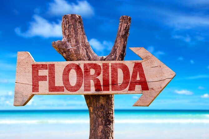 Fort Lauderdale Airport Private Transfer (Up To 14 Passengers) - Cruising days and cross-city transfers: when this fits best