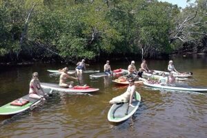 Fort Lauderdale Bonnet House Ground and Guided Paddle Board Kayak - Who’s Guiding You (and Why Small Details Matter)